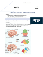 Apg 5 - Telencéfalo, Diencéfalo, Córtex e Envelhecimento