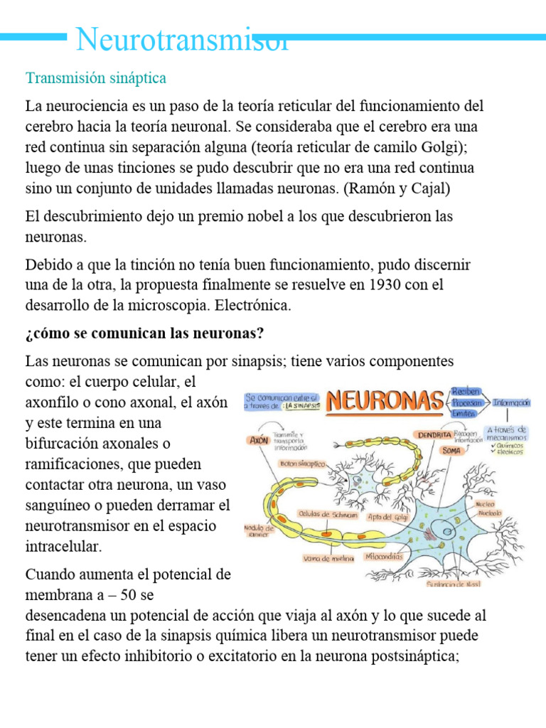 Neurotransmisor | PDF | Sinapsis | Sinapsis química