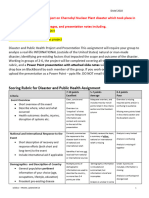 Distel Disaster Project Rubric