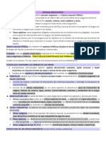 Clase 1 - Sistema Circulatorio (Histología)