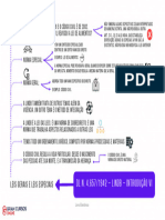 MAPA MENTAL VI