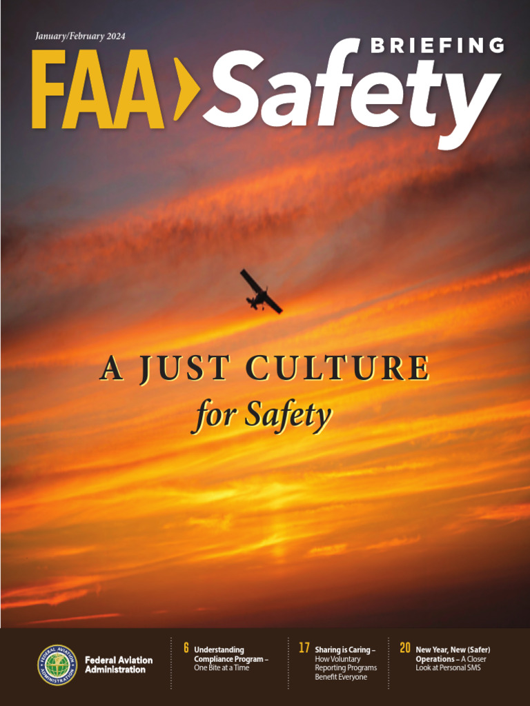 JUST CULTURE BALANCING SAFETY AND ACCOUNTABILITY PDF visual data 3