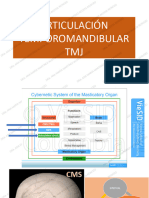 Articulación Temporomandibular TMJ