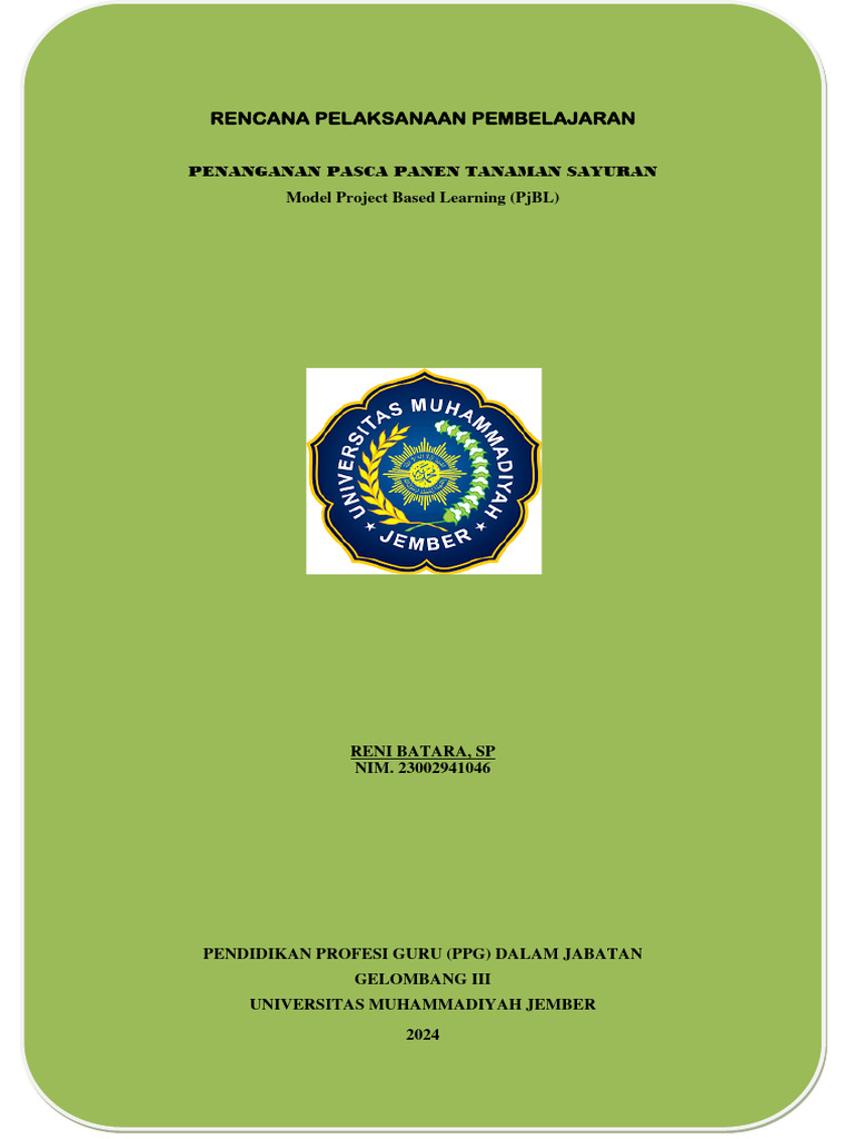RPP Ukin 2024 | PDF | Karier & Perkembangan | Komputer