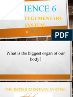 The Integumentary System-Lesson 10