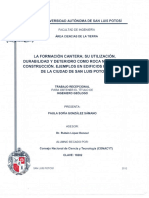 TESIS - La Formacion Cantera - Su Utilizacion - Durabilidad y Deterioro Como Roca Natural de Contruccion - Ejemplo de Edificios Historicos de La Ciudad de SLP - 2012