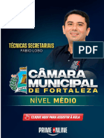 Técnicas Secretariais Fábio Lobo