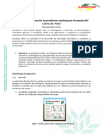 Protocolo MycoUp en Palto - Plantaciones Del Sol