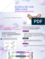 Semana 14 Fisiologia de Los Organos Internos Femenino