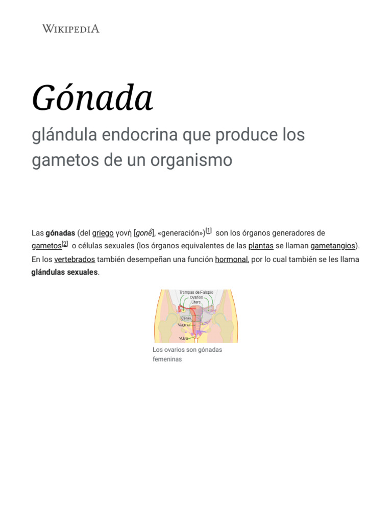 Gónada | PDF | Sistema reproductivo | Reproducción