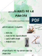 Auxiliares de La Marcha