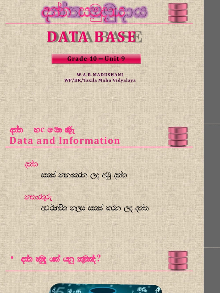 Data Bas E: Grade 10 - Unit 9 | PDF