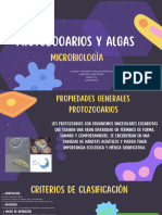 Proto y Algas Micro