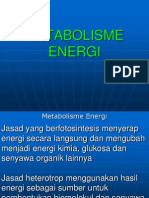 Metabolisme Energi