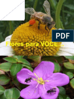 Flores para Você