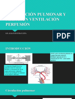 Circulación Pulmonar y Relación Ventilación Perfusión