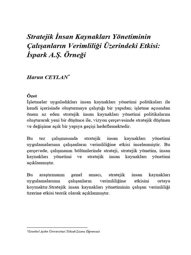 Stratejik - Nsan Kaynaklar - Y - Netiminin - Al - Anlar - N Verimlili ...