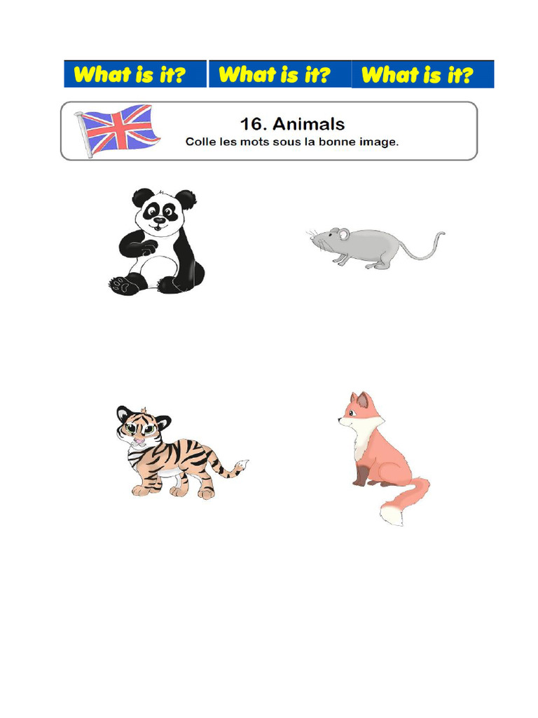 Module 16 Animals II What Is It | PDF