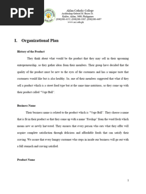 Organizational Plan 2