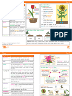 T SC 2549815 Science Knowledge Organiser Plants Year 3 Ver 8