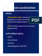 Plan D'organisation (Mode de Compatibilité)