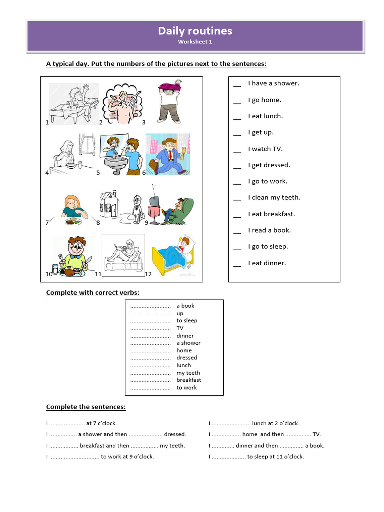 Daily Routines Worksheet Activities | PDF | Lunch | Dinner