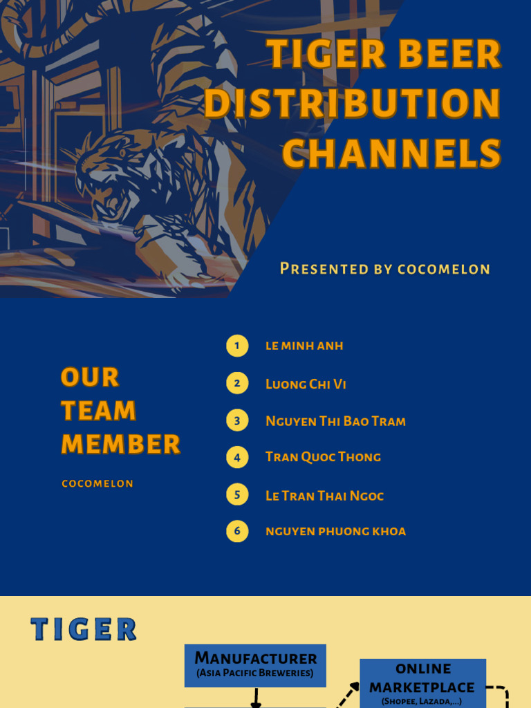 Tiger Beer Distribution Overview | PDF