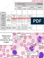 Sangre (Ejercicios) - 2