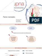 Generalidades+y+Par+I+22 23