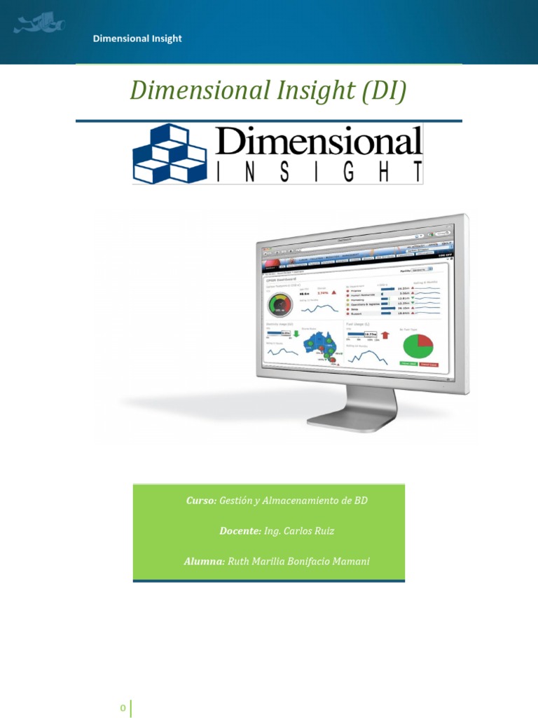 Dimensional Insight | PDF | Internet | Bases de datos