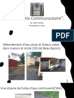 Démocratie Communautaire de Mare Gravier