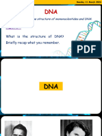 Recap:: To Understand The Structure of Mononucleotides and DNA
