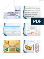 01 Biologia 2019 - Mitocondria-Respiración PDF