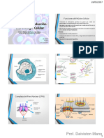 05 Biologia 2016-Nucleo