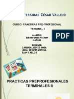 Sustentacion de Practica - Bueno Uribe Victor - Capitulo I