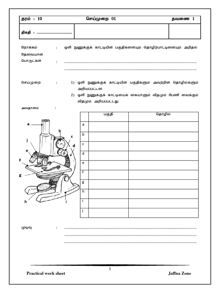 Grade 10 Science Practical Guide | PDF