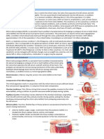 Mitral Valve Prolapse