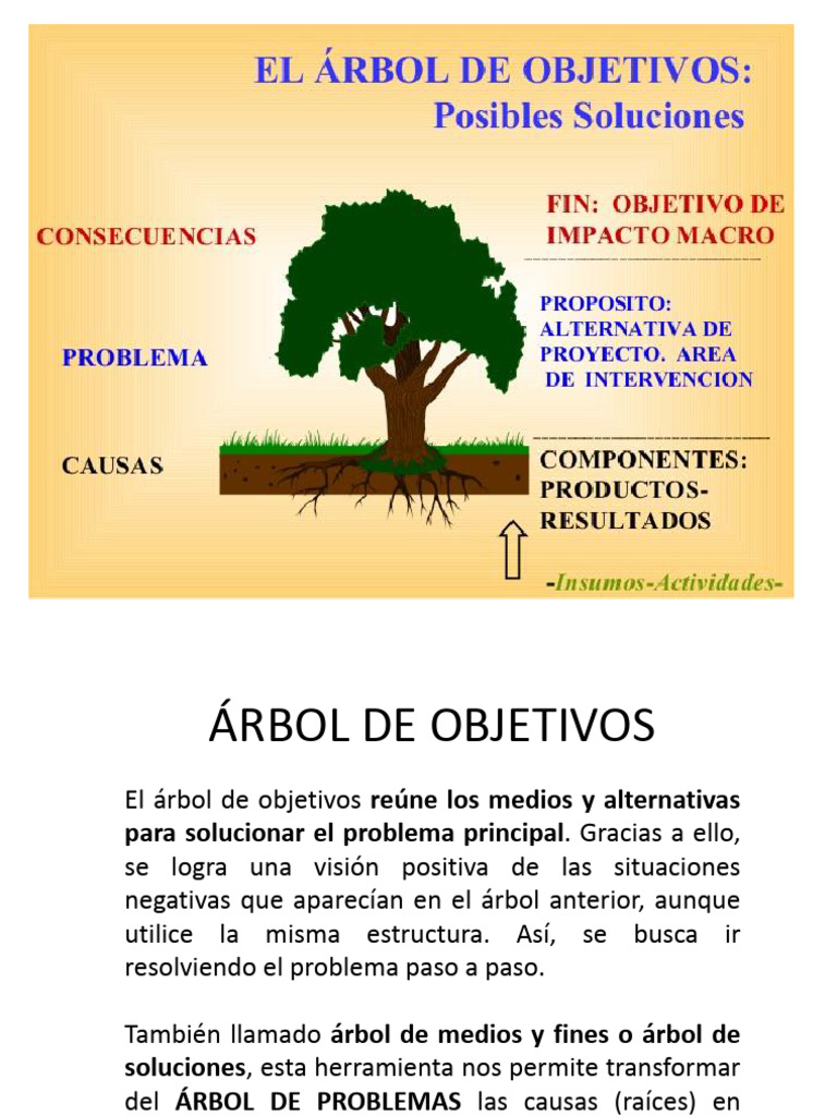 Optimización del Árbol de Objetivos | PDF