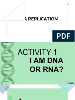 Cot 3 DNA Replication 2