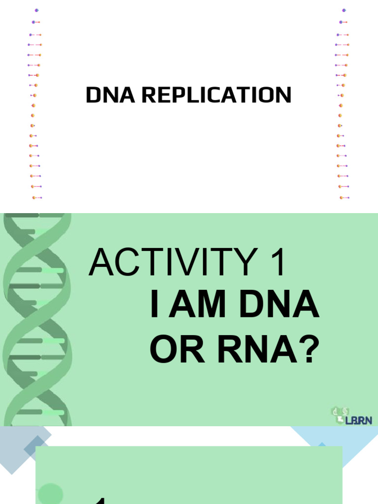 DNA Replication Activities and Model Guide | PDF | Teaching Methods ...
