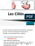 5 - Les Cilies 2023