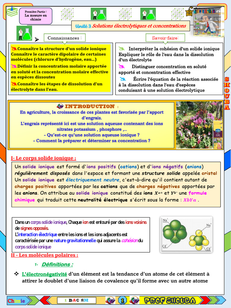 Chimie des solides ioniques et solutions | PDF | Ion | Polarité (chimie)