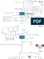 Mapa Conceitual