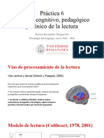 Práctica 6 Análisis Neurocognitivo, Pedagógico y Clínico de La Lectura