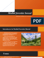 Mediul Forestier Broeal