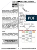 RM Libro PDF