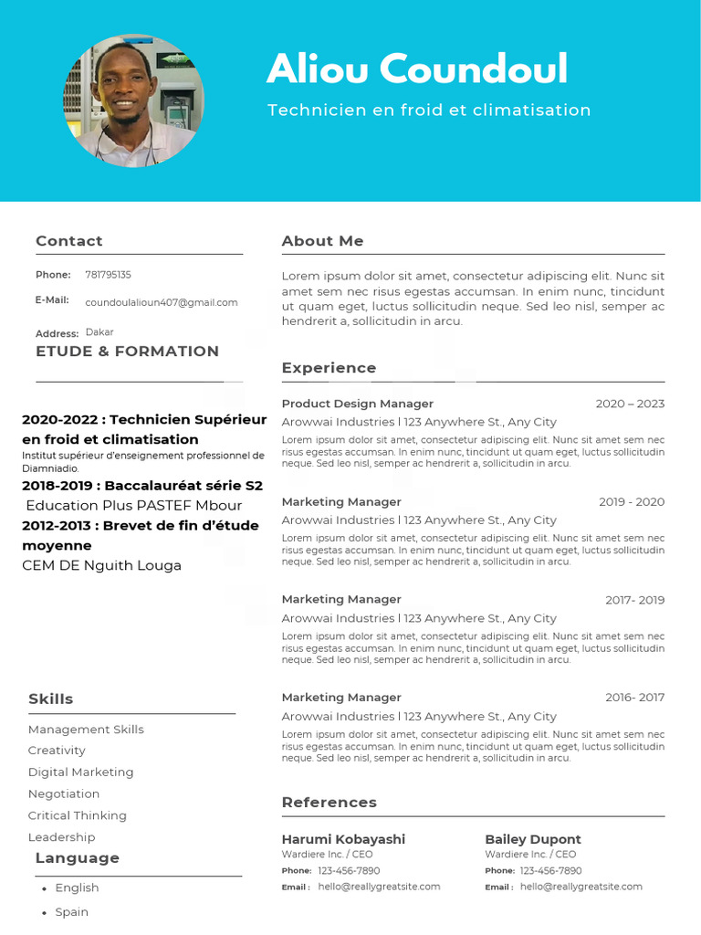 Professional CV Resume | PDF