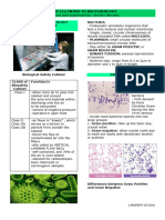 BACTERIOLOGY