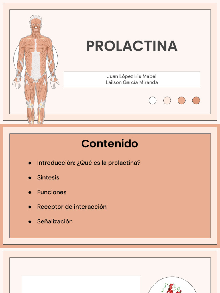 Funciones y regulación de la prolactina | PDF | Biología | Bioquímica