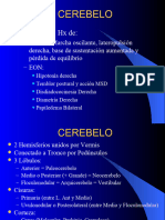 1.5 Cerebelo